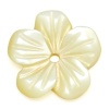 Bild von Muschel Perlen Blumen Hellgelb 11mm x 11mm, Loch: 1mm, 4 Stück