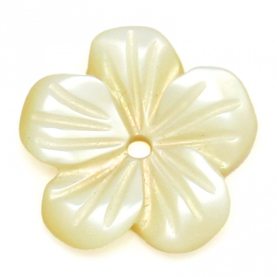 Bild von Muschel Perlen Blumen Hellgelb 11mm x 11mm, Loch: 1mm, 4 Stück