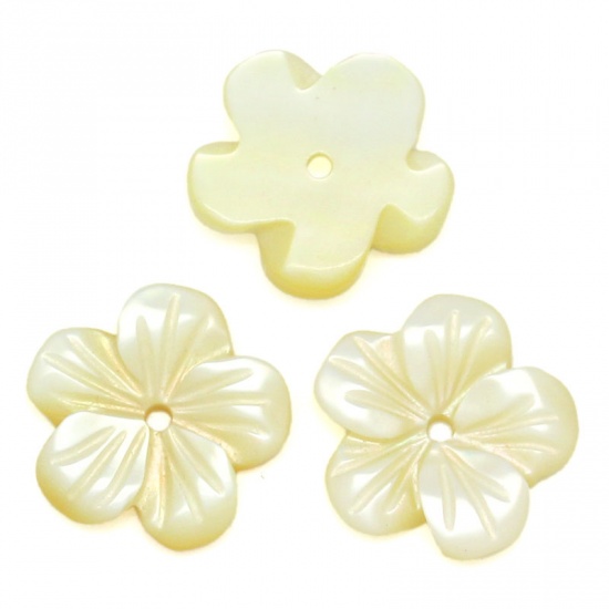 Picture of Shell Beads Flower Pale yellow 11mm x 11mm,Hole:Approx 1mm,4PCs