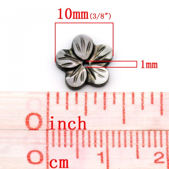 Immagine di Conchiglia Sciolto Perline Fiore Nero Nulla Disegno Circa 10.0mm x 10.0mm, Foro:Circa 1.0mm, 5 Pz