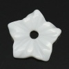 Imagen de Cuentas Concha de Flor,Blanco 10mm x 10mm, Aguero: acerca de 1.3mm, 5 Unidades