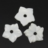 Изображение Бусины из Раковины, Цветы, Белый 10мм x 10мм, 1.3мм, 5 ШТ
