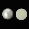 Изображение Акриловые Кабошоны и Наклейки Полукруглые, Молочный 18.0мм диаметр, 100 ШТ
