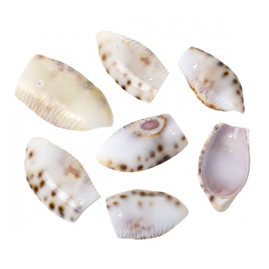 Immagine di Conchiglia Charm Ciondoli Ovale Naturale 5.3cm x 3.1cm- 4.3cm x 2.3cm, 4 Pz