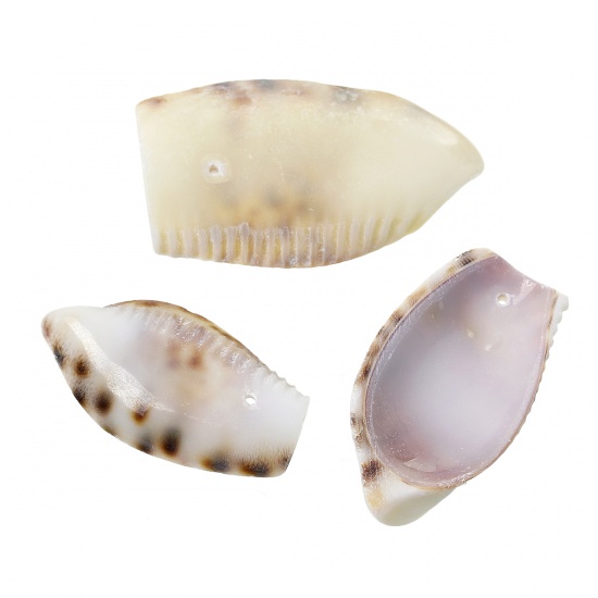 Immagine di Conchiglia Charm Ciondoli Ovale Naturale 5.3cm x 3.1cm- 4.3cm x 2.3cm, 4 Pz