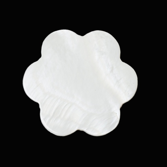 Image de Naturel, Appliques d'embellissement en Coquilles, Forme Fleur, Blanc 3.0mm x 3.0mm, 10 Pièces