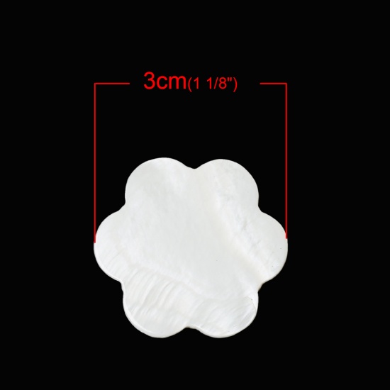 Immagine di Naturale Conchiglia Cabochon per Abbellimento Fiore Bianco 3.0mm x 3.0mm, 10 Pz