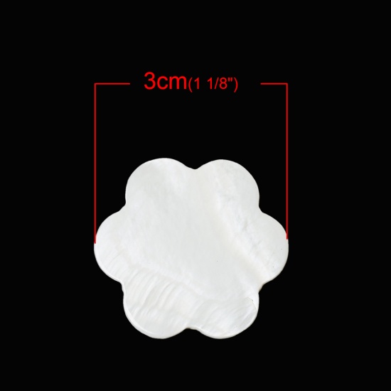 Picture of Natural Shell Cabochons Embellishments Findings Flower White 3.0mm x 3.0mm, 10 PCs