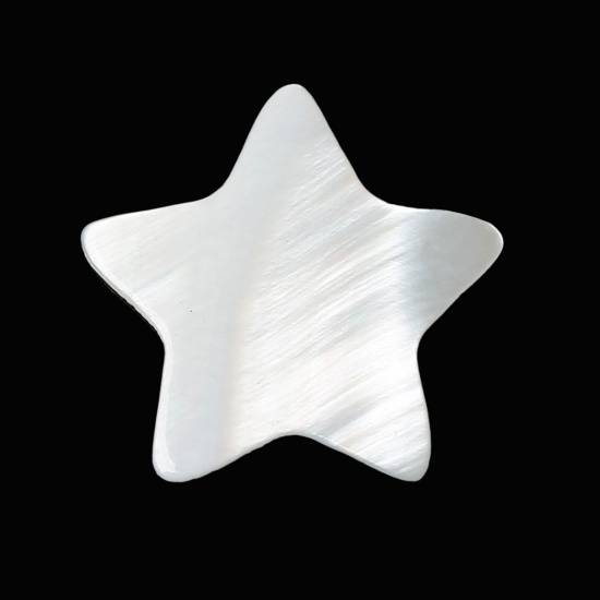 Immagine di Naturale Conchiglia Cabochon per Abbellimento Stella a Cinque Punte Naturale 17.0mm x 16.0mm, 50 Pz