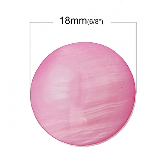 Image de Naturel, Appliques d'embellissement en Coquilles, Forme Rond, Fuchsia Diamètre: 18.0mm, 20 Pièces