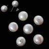 Immagine di Perla Perline Tondo Bianco Sporco Madreperla Circa 8.5mm - 7.8mm Dia, Foro: Circa 0.9mm, 2 Paia