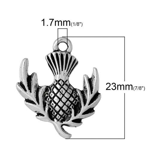 Picture of Zinc Metal Alloy Charm Pendants Scotland Thistle Flower Antique Silver Color Leaf Carved 23mm( 7/8") x 20mm( 6/8"), 30 PCs