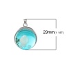 Picture of Resin Charm Pendants Round Transparent Green Blue Real Shell 29.0mm(1 1/8") x 22.0mm( 7/8"), 2 PCs