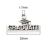 Imagen de Zinc Based Alloy College Jewelry Charms Antique Silver Color Trencher Cap Message " Graduate " 22mm x 13mm, 20 PCs