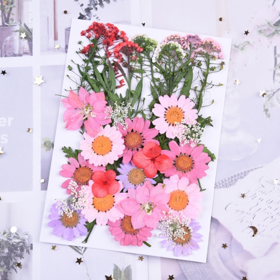Immagine di Fiore Reale Secchi Artigianato in Resina Materiale di Riempimento Multicolore Misti 18cm x 13cm, 1 Pacchetto ( 35 Pz/Pacco)