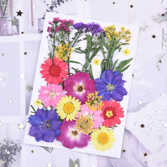 Immagine di Fiore Reale Secchi Artigianato in Resina Materiale di Riempimento Multicolore Misti 18cm x 13cm, 1 Pacchetto ( 30 Pz/Pacco)