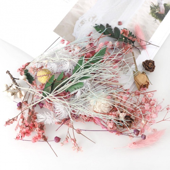 Immagine di Fiore Reale Secchi Artigianato in Resina Materiale di Riempimento A Random 17cm x 12cm, 1 Scatola