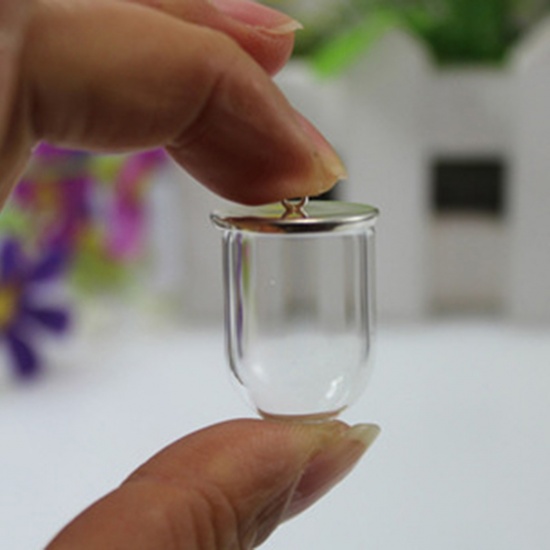 Bild von Zinklegierung Glaskugel Flasche Für Ohrring Ring Halskette Wunschflasche Versilbert Transparent 25mm x 18mm, 1 Set 2 PCs/Set