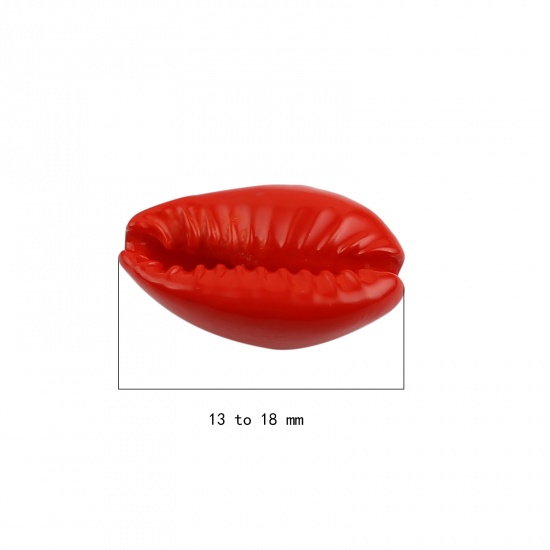 Picture of Natural Shell Charms Shell Red 18mm x 12mm - 13mm x 9mm, 20 PCs