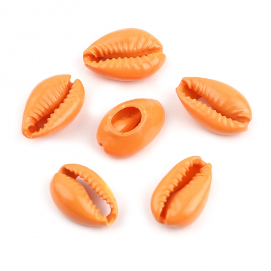 Picture of Natural Shell Charms Shell Orange 18mm x 12mm - 13mm x 9mm, 20 PCs