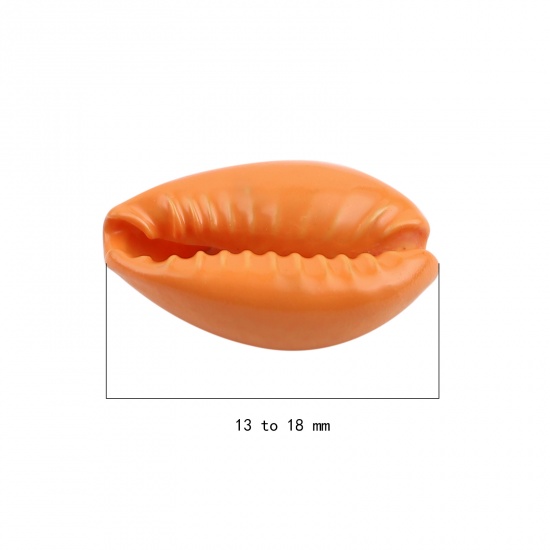 Picture of Natural Shell Charms Shell Orange 18mm x 12mm - 13mm x 9mm, 20 PCs