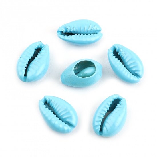 Picture of Natural Shell Charms Shell Blue 18mm x 12mm - 13mm x 9mm, 20 PCs