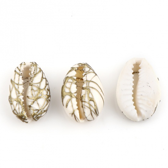 Picture of Natural Shell Charms Shell Creamy-White Dyed 24mm x 15mm - 13mm x 9mm, 10 PCs