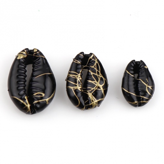 Picture of Natural Shell Charms Shell Black Dyed 24mm x 15mm - 13mm x 9mm, 10 PCs