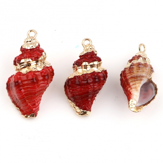 Picture of Natural Shell Pendants Gold Plated Conch/ Sea Snail Red Dyed 30mm x 17mm - 22mm x 12mm, 5 PCs