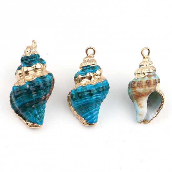 Picture of Natural Shell Pendants Gold Plated Conch/ Sea Snail Blue Dyed 30mm x 17mm - 22mm x 12mm, 5 PCs