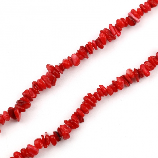 Picture of Shell Loose Beads Irregular Red Dyed About 12mm x 8mm - 5mm x 4mm, Hole:Approx 0.9mm, 79.5cm(31 2/8") - 79cm(31 1/8") long, 1 Strand (Approx 290 PCs/Strand)