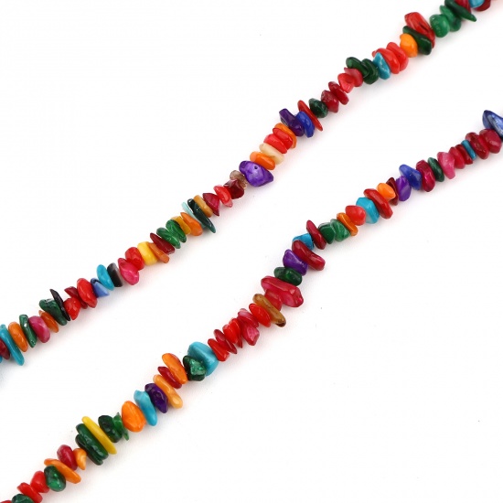Изображение Бусины из Раковины, Бесформенный, Разноцветный Крашеный 12мм x 8мм - 5мм x 4мм, 0.9мм, 79.5cm-79cm длина, 1 Нитка 290 шт / 1 нитка