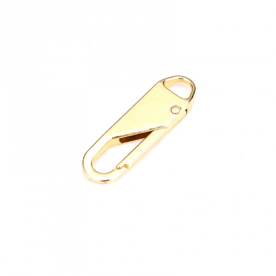Picture of Zinc Based Alloy Zipper Pulls Garment Accessories Gold Plated Oval Detachable 37mm x 11mm, 2 PCs