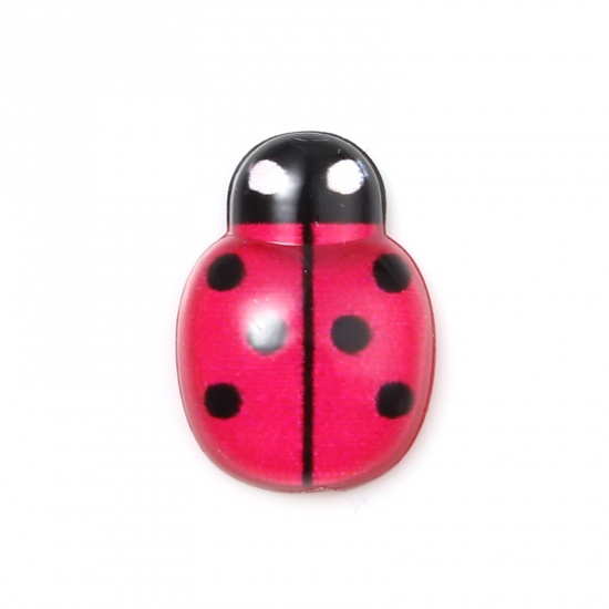Picture of Resin Insect Dome Seals Cabochon Ladybug Animal Fuchsia & Black Dot Pattern 13mm x 9mm, 50 PCs