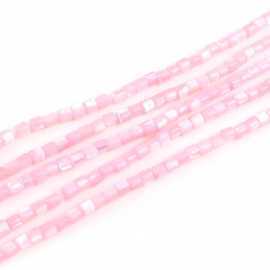 Immagine di Conchiglia Sciolto Perline Cilindrico Rosa Tinto Lunghezza: 4mm, Larghezza: 3.5mm, Foro:Circa 1mm, lunghezza: 40.5cm - 40cm 1 Filo （Circa 112 Pezzi/Treccia)