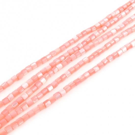 Immagine di Conchiglia Sciolto Perline Cilindrico Rosa Pesca Tinto Lunghezza: 4mm, Larghezza: 3.5mm, Foro:Circa 1mm, lunghezza: 40.5cm - 40cm 1 Filo （Circa 112 Pezzi/Treccia)