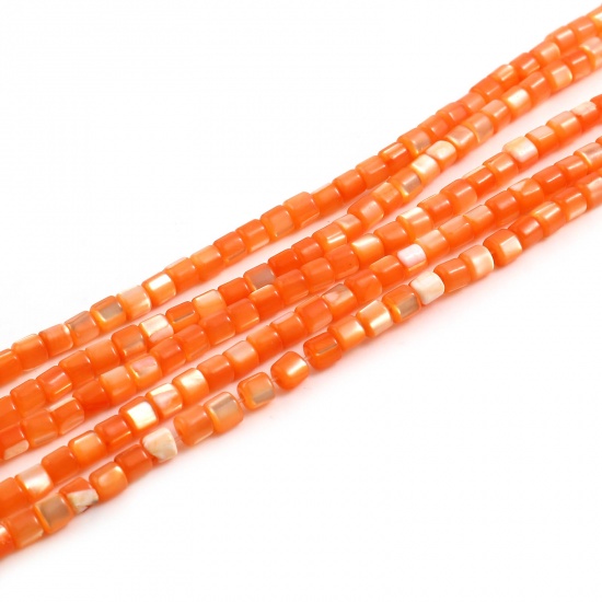 Immagine di Conchiglia Sciolto Perline Cilindrico Arancione Tinto Lunghezza: 4mm, Larghezza: 3.5mm, Foro:Circa 1mm, lunghezza: 40.5cm - 40cm 1 Filo （Circa 112 Pezzi/Treccia)
