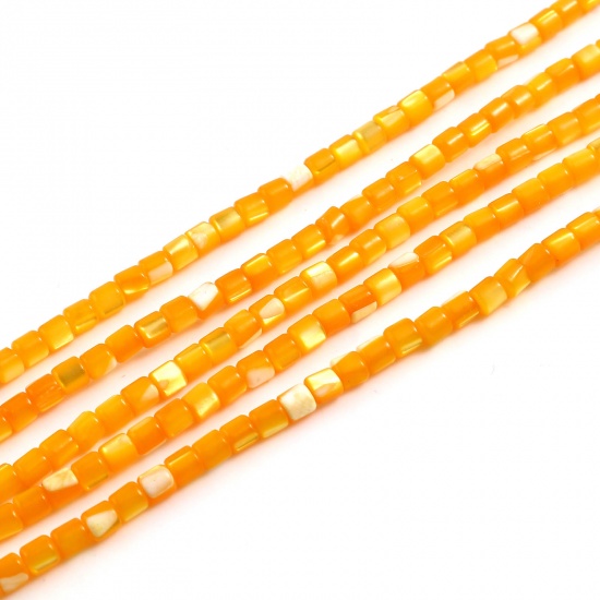 Immagine di Conchiglia Sciolto Perline Cilindrico Arancione Tinto Lunghezza: 4mm, Larghezza: 3.5mm, Foro:Circa 1mm, lunghezza: 40.5cm - 40cm 1 Filo （Circa 112 Pezzi/Treccia)