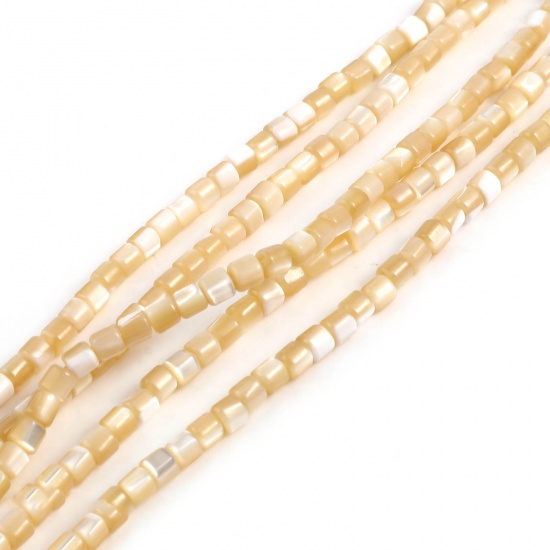Picture of Shell Loose Beads Heishi Beads Disc Beads Cylinder Light Khaki Dyed About 4mm x 3.5mm - 3.5mm x 3.5mm, Hole:Approx 1mm, 40.5cm(16") - 40cm(15 6/8") long, 1 Strand (Approx 112 PCs/Strand)