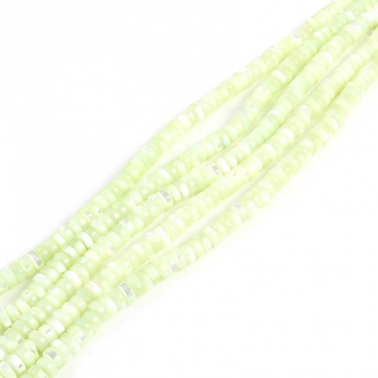 Immagine di Conchiglia Sciolto Perline Tondo Verde Tinto Circa 5mm Dia, Foro:Circa 1mm, lunghezza: 40.5cm - 40cm 1 Filo （Circa 175 Pezzi/Treccia)