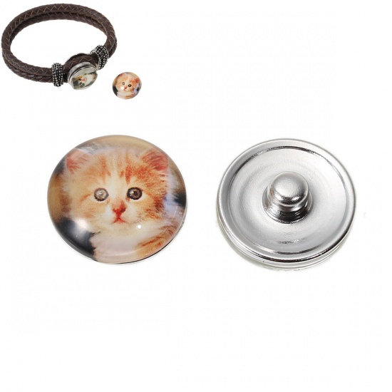 Picture of 18mm Glass Snap Button Fit Snap Button Bracelets Round Silver Tone At Random Mixed Cat Pattern, Knob Size: 5.5mm( 2/8"), 6 PCs
