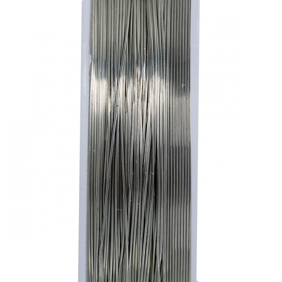 Immagine di Rame Filo per Perline Filo Corda Tondo Tono Argento 0.4mm Dia, 2 Rotoli (Circa 15 M/Rotolo)