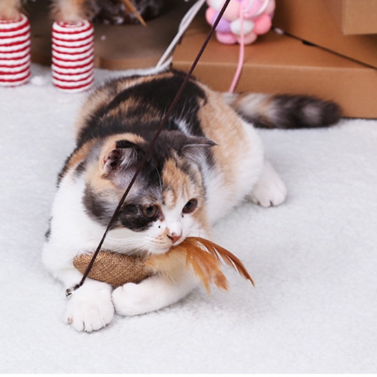 Picture of Wood Funny Pet Cat Teaser Toys Natural Mouse Animal Feather 40cm, 1 Piece