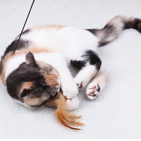Immagine di Legno Giocattoli divertenti per animali domestici Naturale Topo Piuma 40cm, 1 Pz