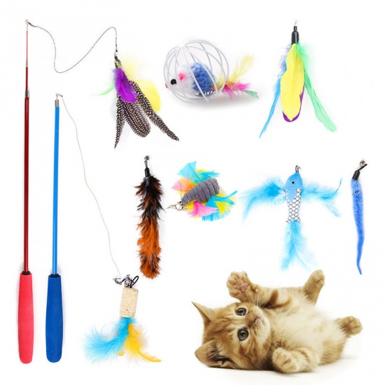 Picture of Multicolor - 10 PCs/Set Pet Kitten Cat Toys Interactive Play Supplies, 1 Set