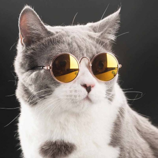 Picture of Khaki - Lovely Cat Dog Glasses Eye-Wear Sunglasses Pet Products For Little Dog Cat Photos Prop, 1 Piece
