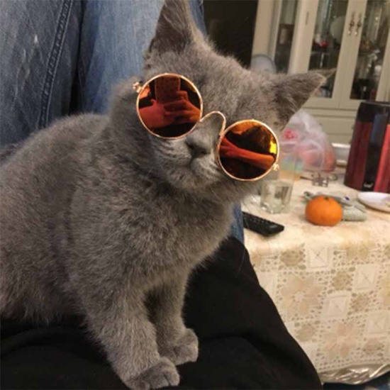 Picture of Green - Lovely Cat Dog Glasses Eye-Wear Sunglasses Pet Products For Little Dog Cat Photos Prop, 1 Piece