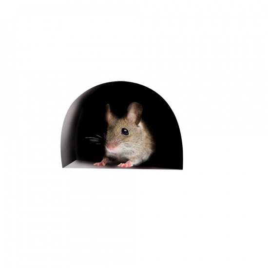 Picture of Multicolor - 2# Rat Mouse Hole PVC Glass Window Film Wall Stickers Home Decoration 10x8cm, 1 Set（5 PCs/Set）