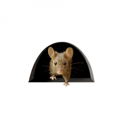 Picture of Multicolor - 3# Rat Mouse Hole PVC Glass Window Film Wall Stickers Home Decoration 10x8cm, 1 Set（5 PCs/Set）
