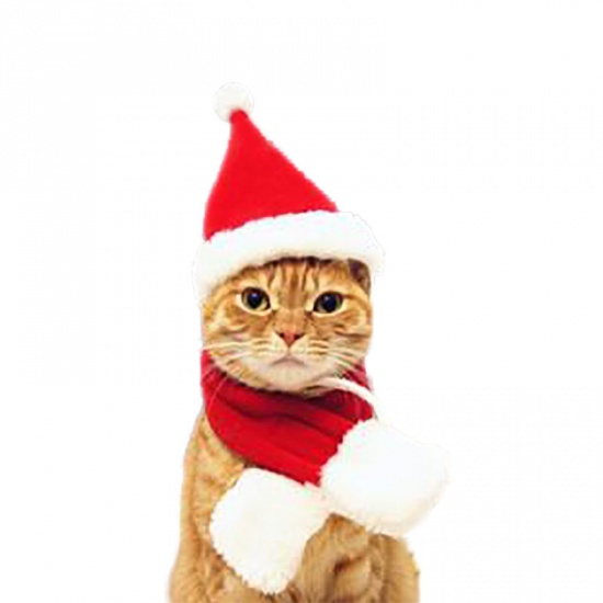 Picture of Red - S Christmas Hat Scarf Set Pet Cat Dog Clothes New Year Dress Up Cosplay Costume, 1 Set